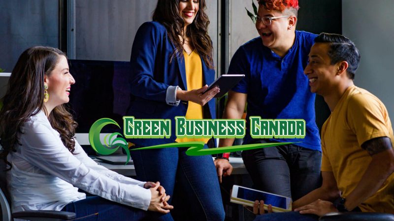 Examples of Businesses with Sustainable Business Practices